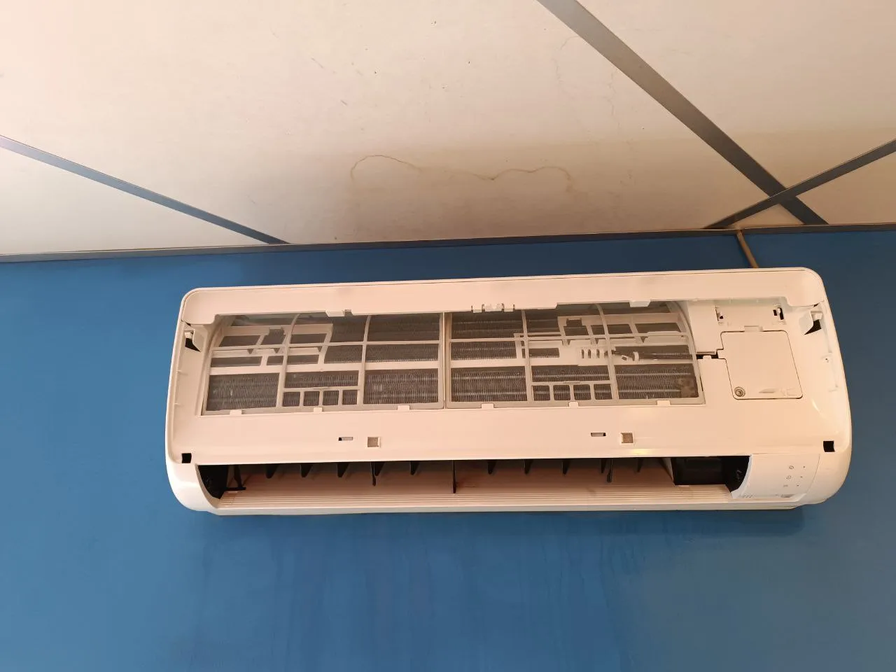 "Додо Пицца" Красное село "Додо Пицца" Красное село