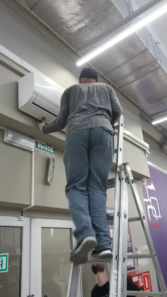 "Фамилия" Континент "Фамилия" Континент