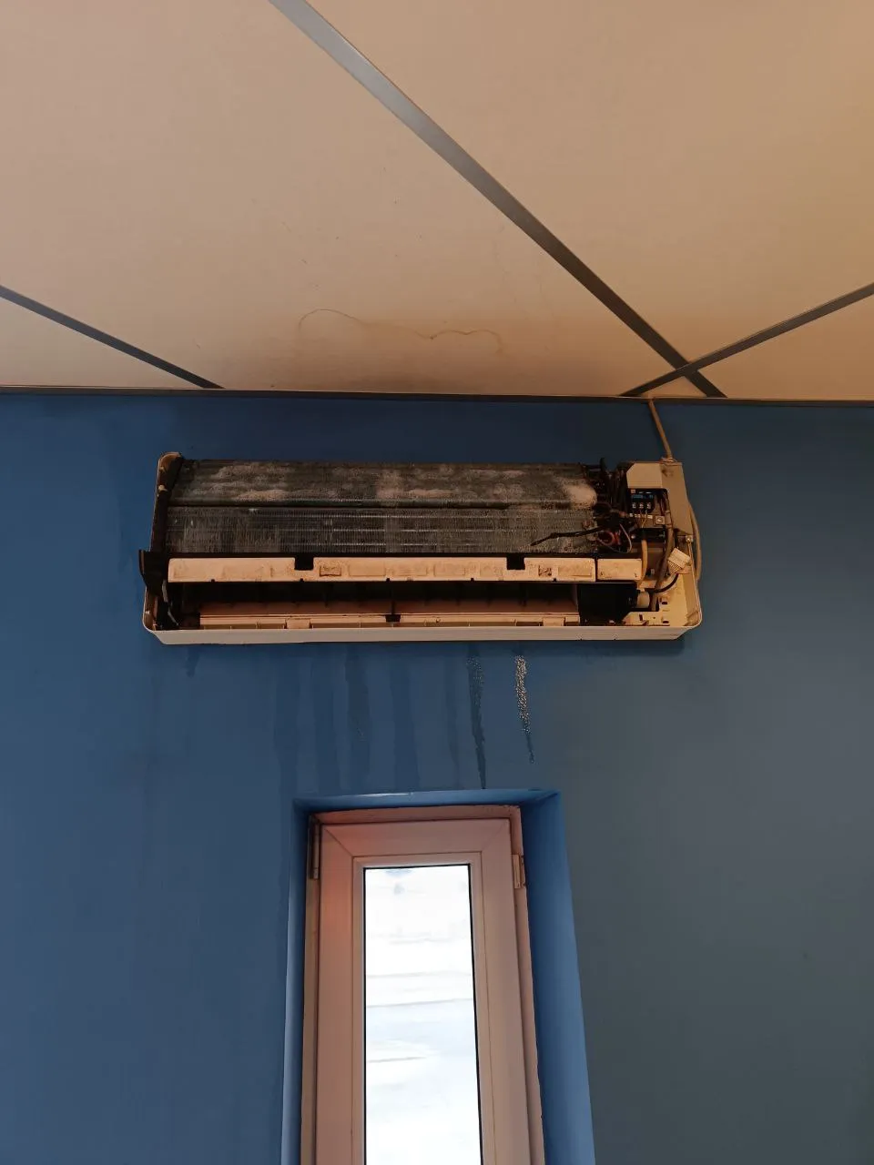 "Додо Пицца" Красное село "Додо Пицца" Красное село