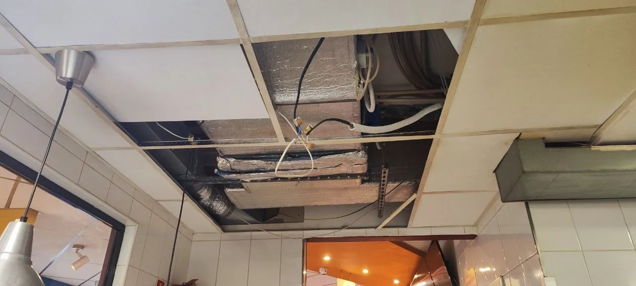 "Додо Пицца" Красное село "Додо Пицца" Красное село