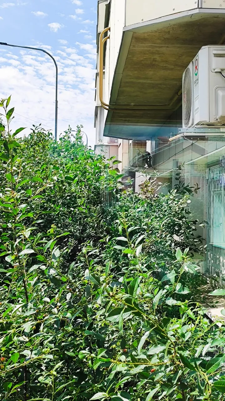 МФЦ Мои Документы отдел Колтуши МФЦ Мои Документы отдел Колтуши