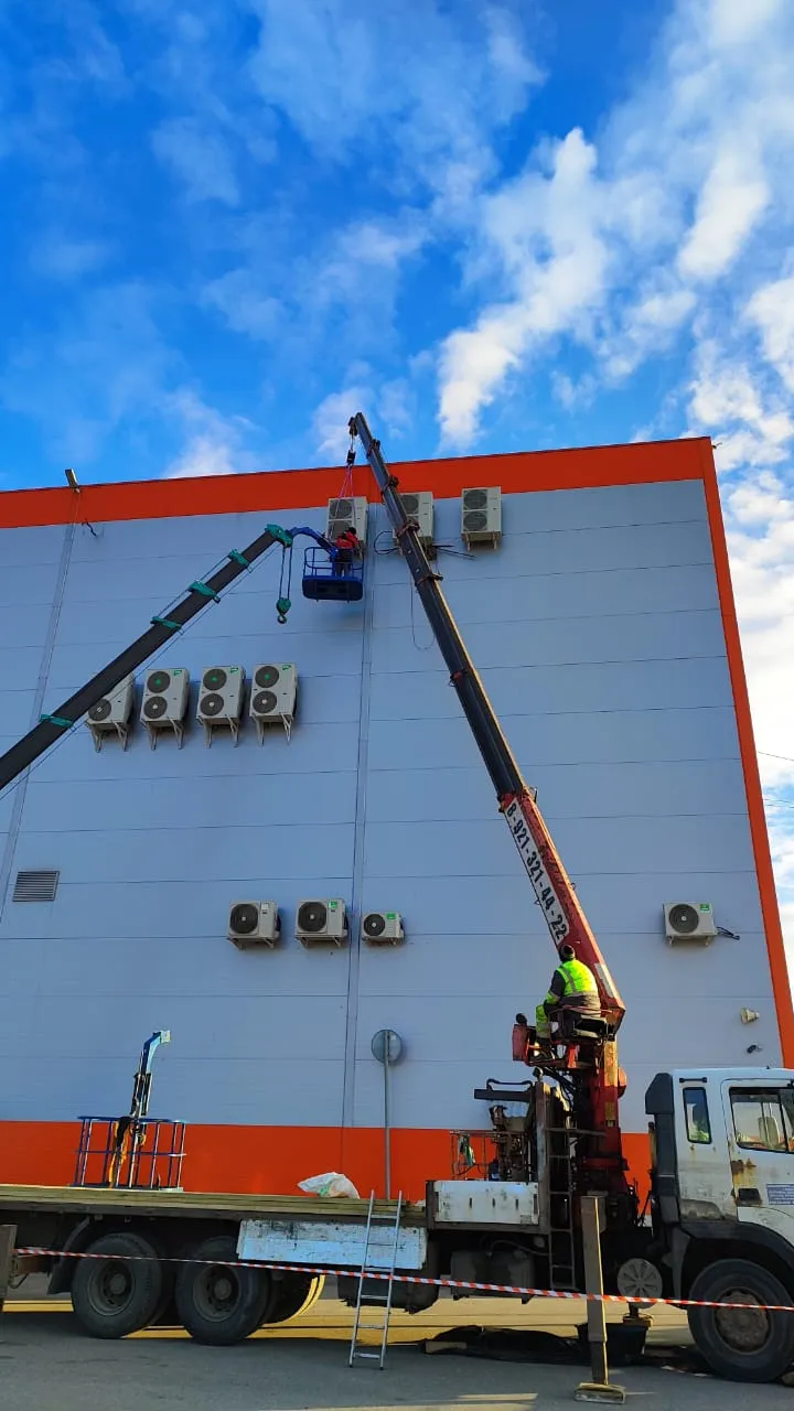 Фамилия Выборг Фамилия Выборг