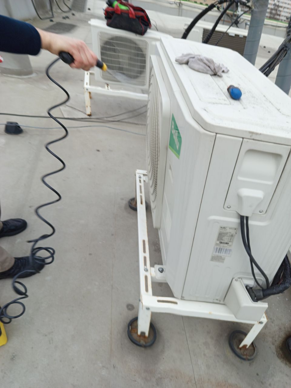 "Четыре лапы" Проспект Просвещения "Четыре лапы" Проспект Просвещения