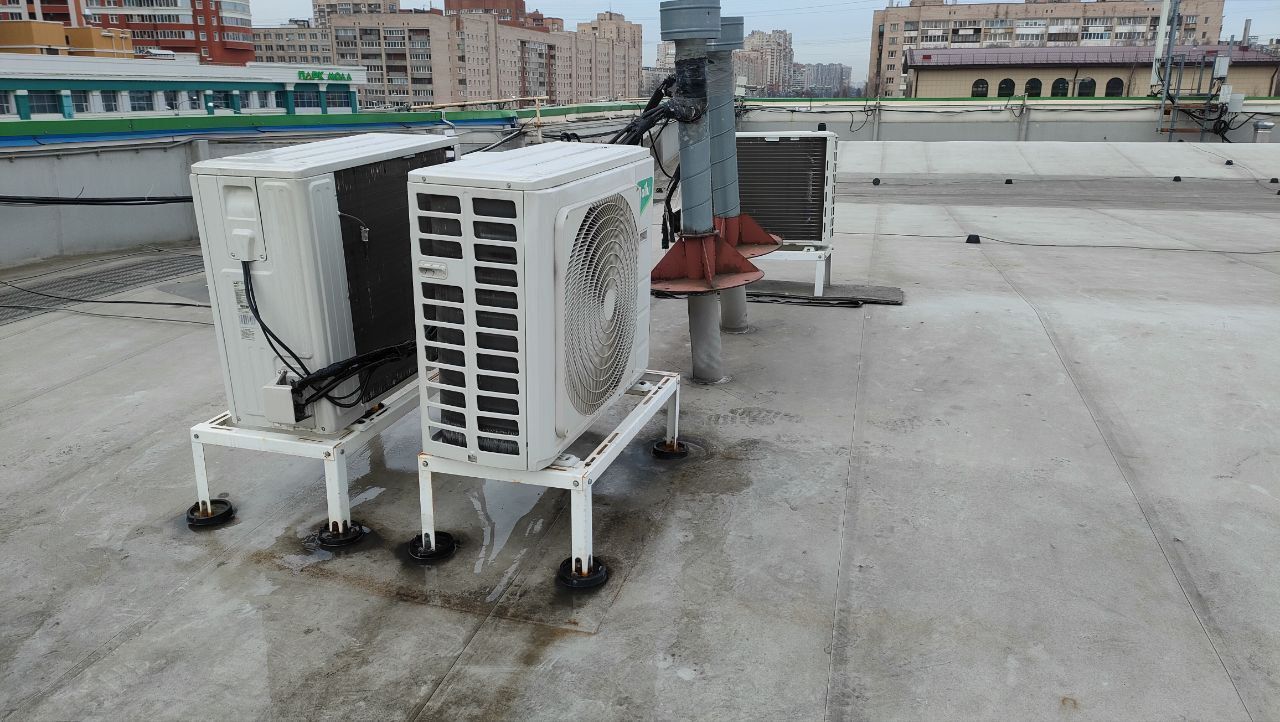 "Четыре лапы" Проспект Просвещения "Четыре лапы" Проспект Просвещения