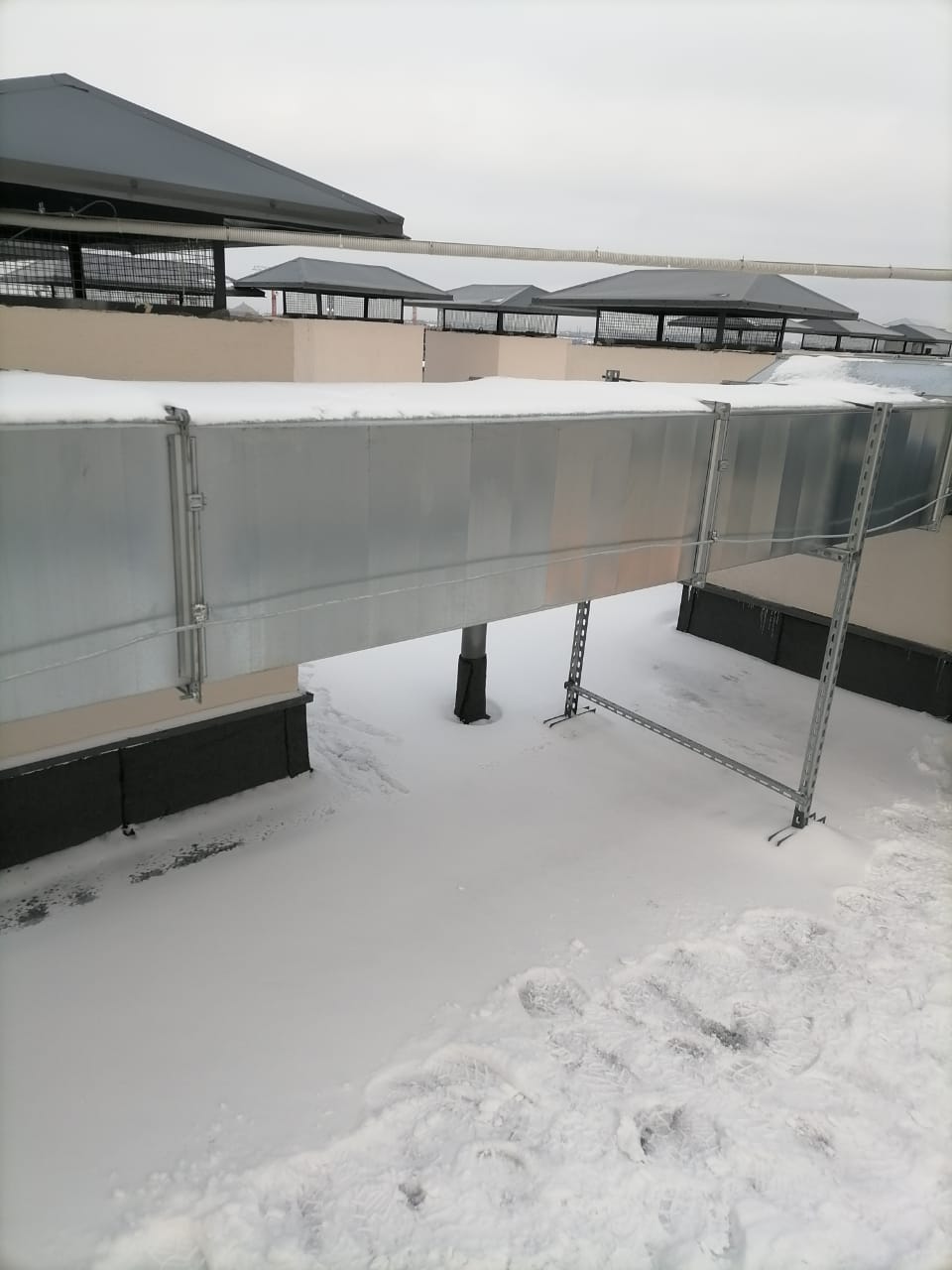 Мурино САОЗТ «Ручьи» Мурино САОЗТ «Ручьи»