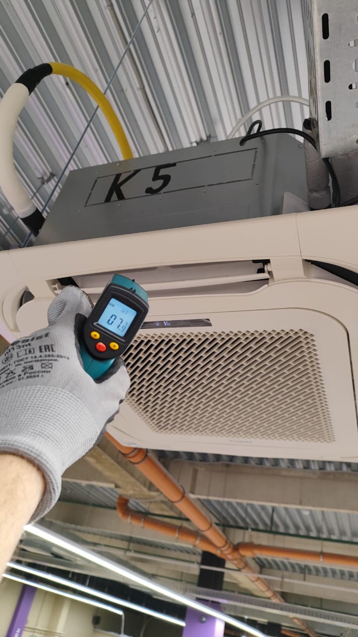 Фамилия Выборг Фамилия Выборг