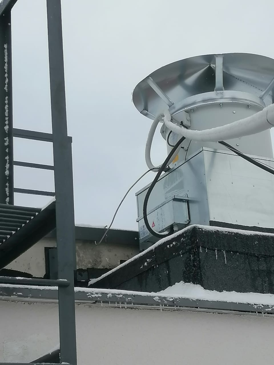 Мурино САОЗТ «Ручьи» Мурино САОЗТ «Ручьи»