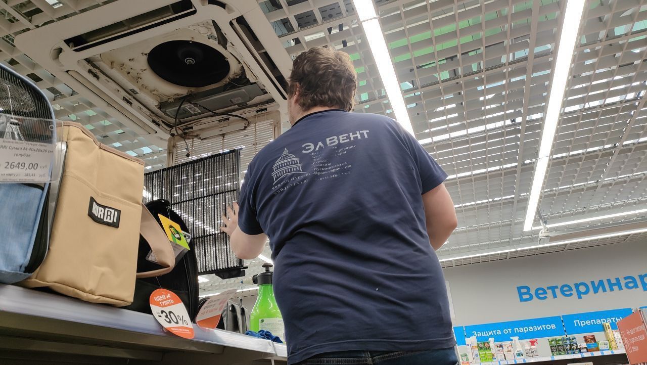 "Четыре лапы" Проспект Просвещения "Четыре лапы" Проспект Просвещения