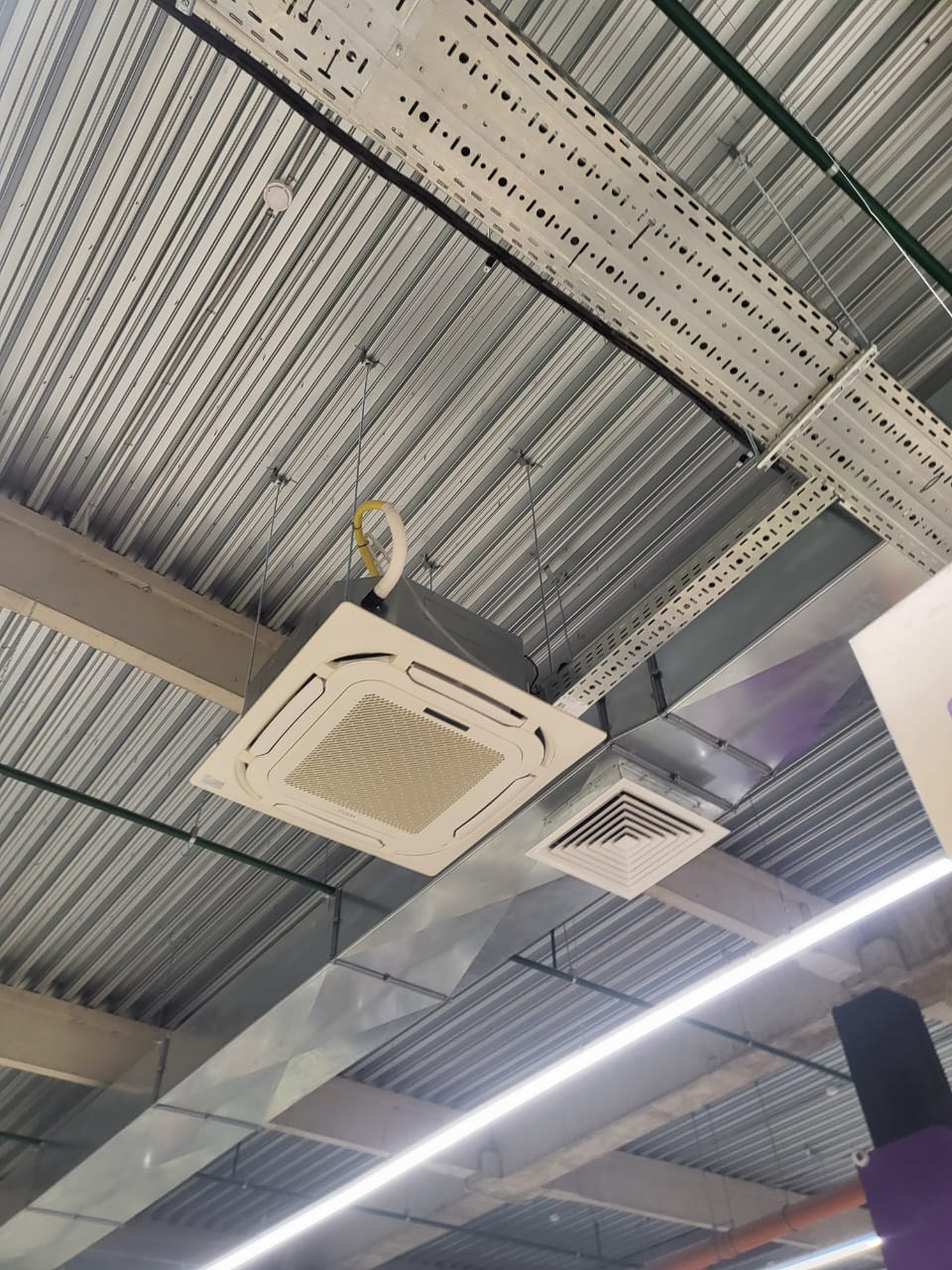 Фамилия Выборг Фамилия Выборг