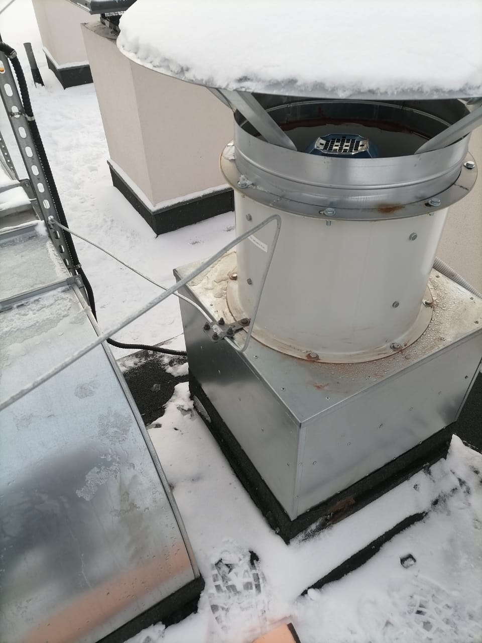 Мурино САОЗТ «Ручьи» Мурино САОЗТ «Ручьи»