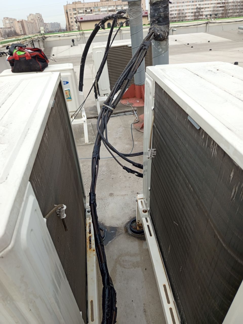 "Четыре лапы" Проспект Просвещения "Четыре лапы" Проспект Просвещения