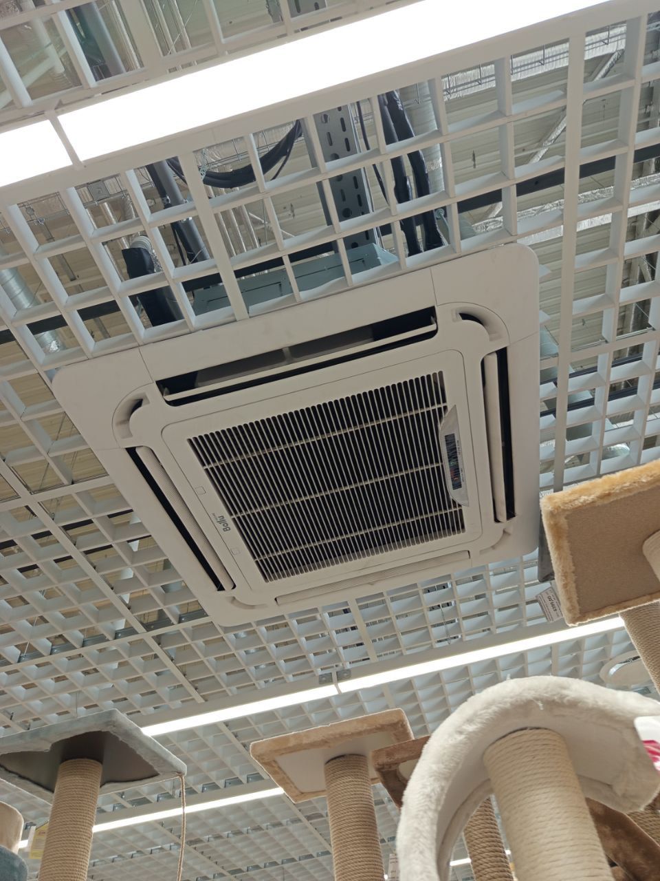 "Четыре лапы" Проспект Просвещения "Четыре лапы" Проспект Просвещения