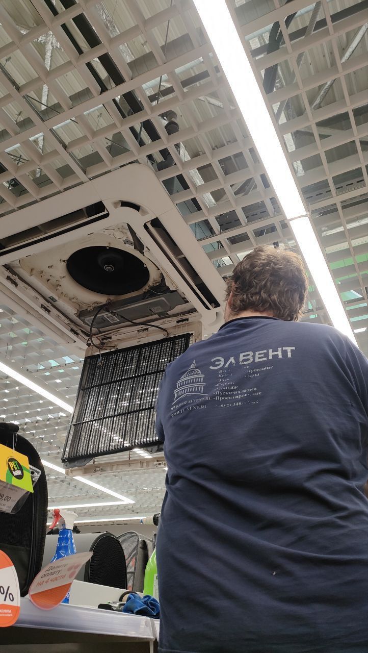 "Четыре лапы" Проспект Просвещения "Четыре лапы" Проспект Просвещения